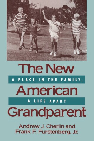 Book cover for The New American Grandparent
