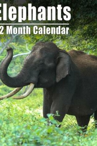 Cover of Calendrier 2021 Elephants