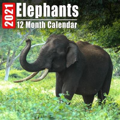 Book cover for Calendrier 2021 Elephants