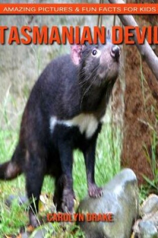 Cover of Tasmanian Devil