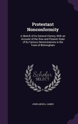 Book cover for Protestant Nonconformity