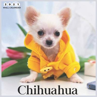 Book cover for Chihuahua 2021 wall calendar