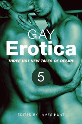 Book cover for Gay Erotica, Volume 5