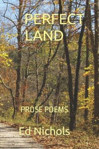 Cover of Perfect Land