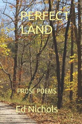 Book cover for Perfect Land