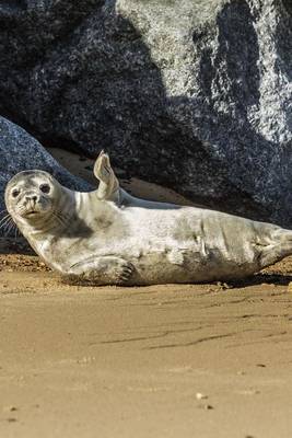 Book cover for Seal Cub Waving Goodby to Mommy