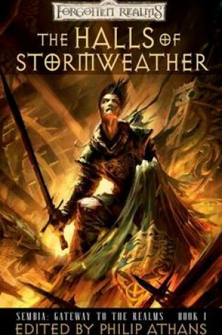 Cover of The Halls of Stormweather