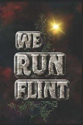 Book cover for We Run Flint
