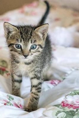 Book cover for A gray striped kitten walking journal