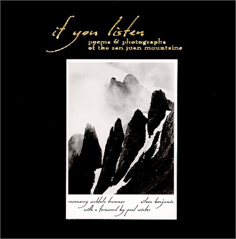 Book cover for If You Listen