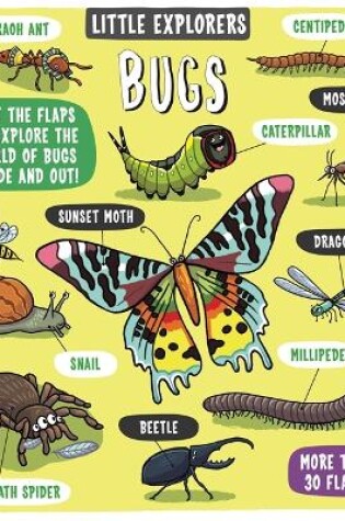Cover of Little Explorers: Bugs