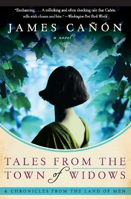 Book cover for Tales from the Town of Widows