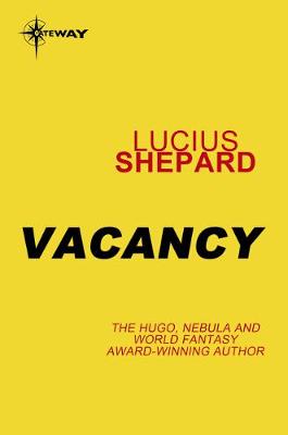 Book cover for Vacancy