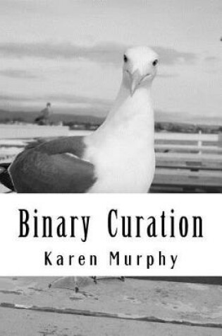 Cover of Binary Curation