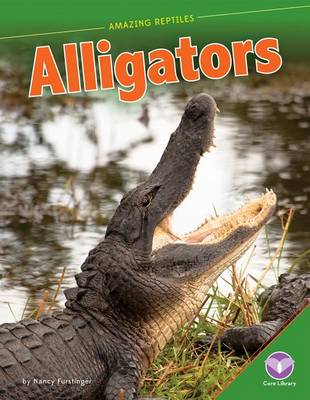 Book cover for Alligators