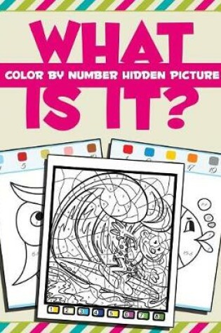 Cover of What Is It?