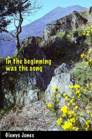 Cover of In the Beginning Was the Song