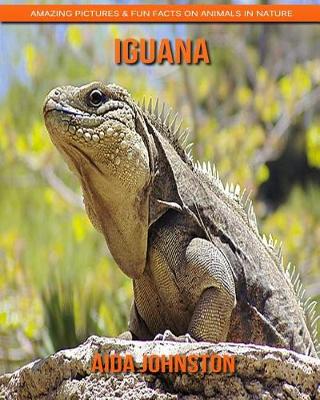 Book cover for Iguana