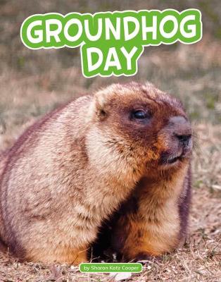 Book cover for Groundhog Day