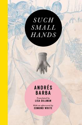 Book cover for Such Small Hands