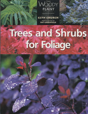 Book cover for Trees and Shrubs for Foliage