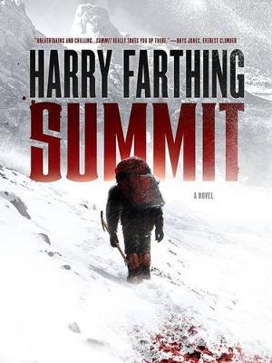 Book cover for Summit