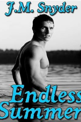 Cover of Endless Summer