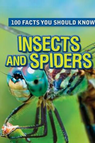 Cover of Insects and Spiders