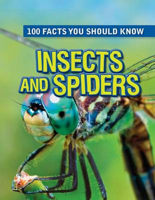 Cover of Insects and Spiders