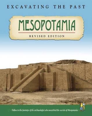 Book cover for Mesopotamia (Excavating the Past)