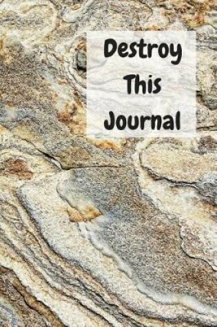 Cover of Destroy This Journal