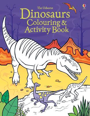 Book cover for Dinosaurs Colouring and Activity Book