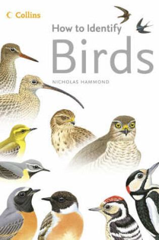 Cover of How to Identify Birds