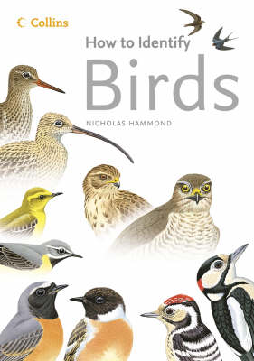 Book cover for How to Identify Birds