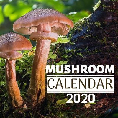 Cover of Mushroom Calendar 2020