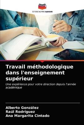 Book cover for Travail methodologique dans l'enseignement superieur