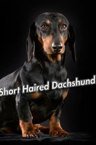Cover of Short Haired Dachshund