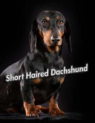 Book cover for Short Haired Dachshund