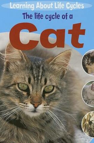 Cover of The Life Cycle of a Cat