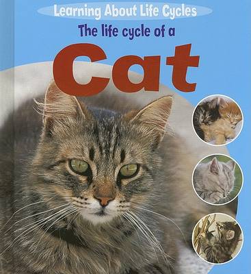 Cover of The Life Cycle of a Cat