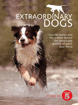 Book cover for Extraordinary Dogs