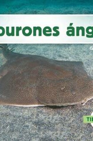 Cover of Tiburones Angel (Angel Sharks)