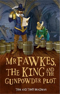 Book cover for Mr Fawkes, the King and the Gunpowder Plot