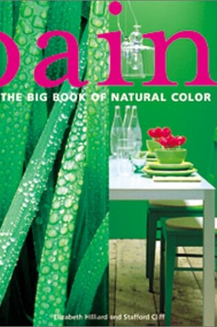 Cover of Paint