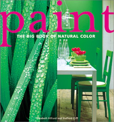 Book cover for Paint