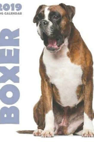 Cover of Boxer 2019 Dog Calendar