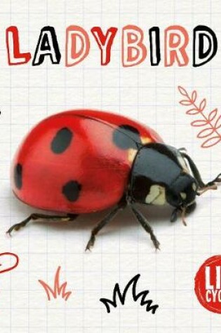 Cover of Ladybird