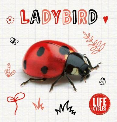 Book cover for Ladybird