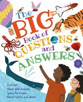 Cover of The Big Book of Questions and Answers