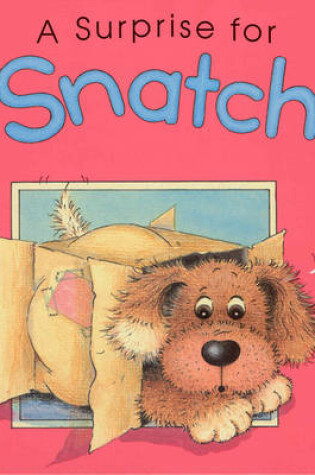 Cover of A Surprise for Snatch